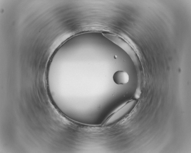 X0000087381293200705111726