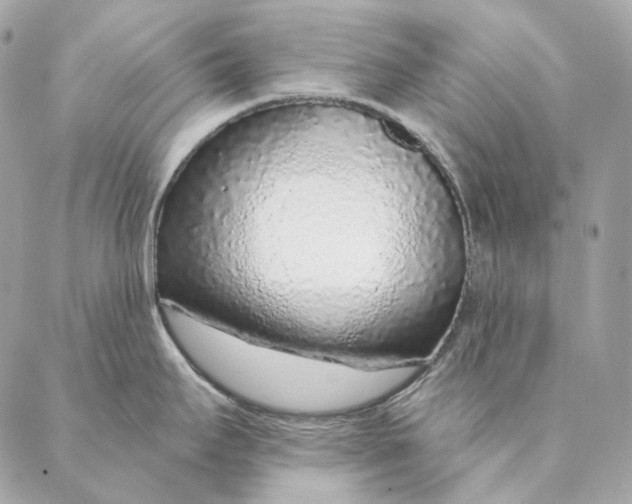 X0000087381295200705111726