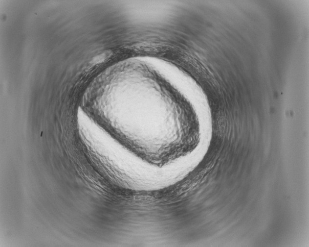 X0000087381297200705111725