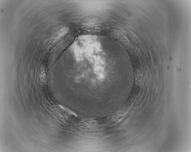 X0000087381298200705111725