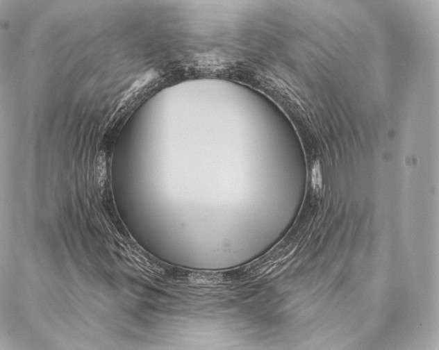 X0000087381299200705111725