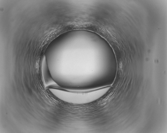 X0000087381300200705111725