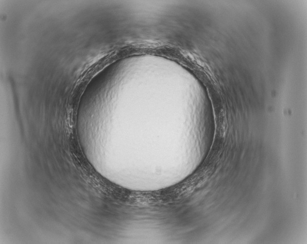 X0000087381301200705111725