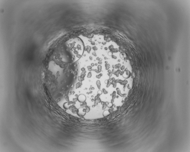 X0000087381302200705111725