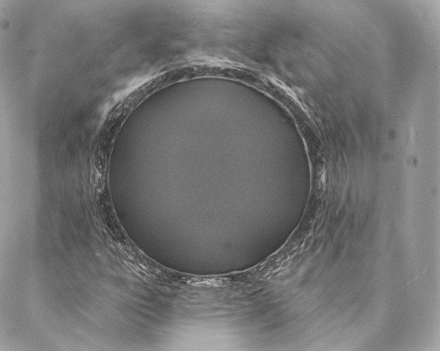 X0000087381303200705111725