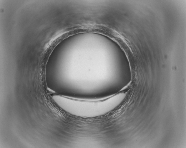 X0000087381304200705111725