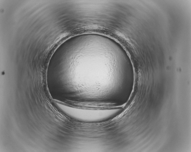 X0000087381305200705111725