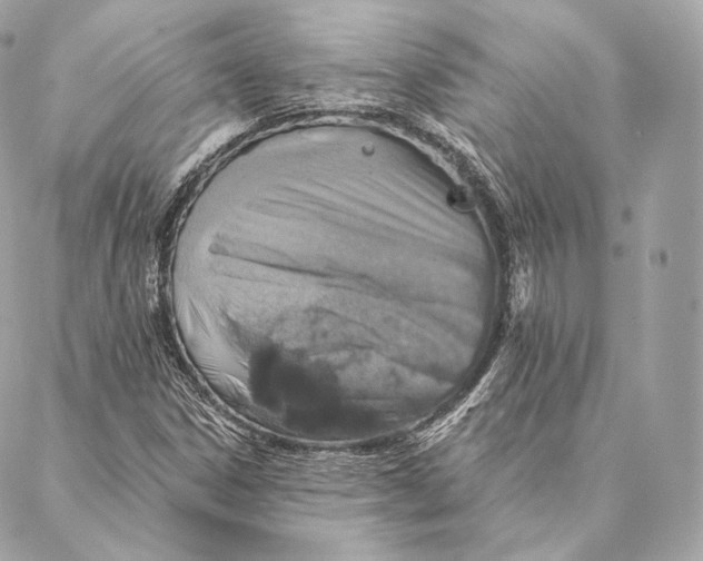 X0000087381306200705111725