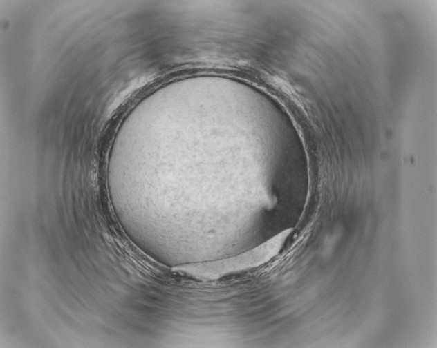 X0000087381307200705111725