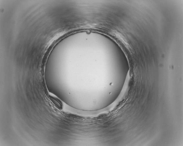 X0000087381308200705111725