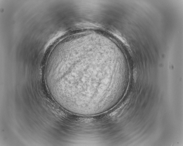 X0000087381309200705111725