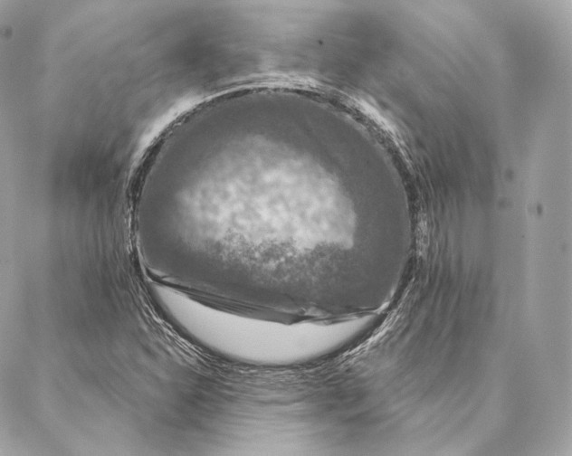 X0000087381310200705111725