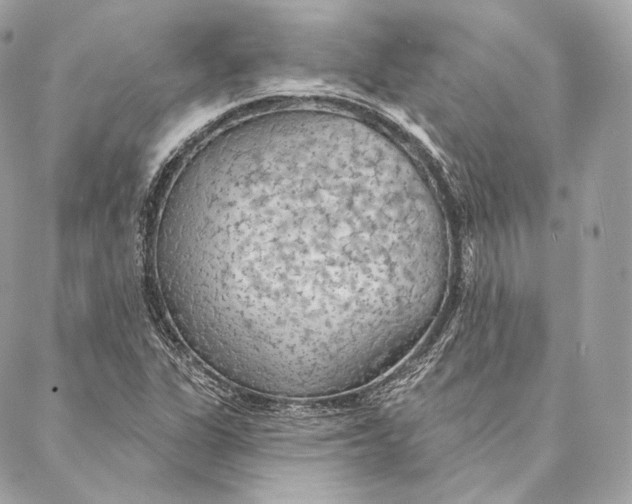 X0000087381311200705111725