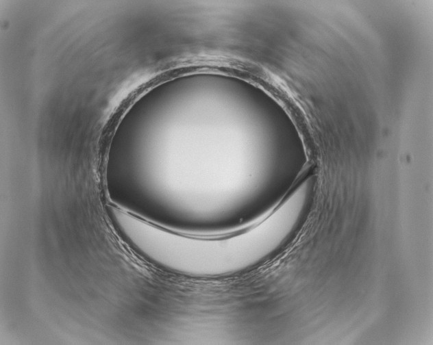 X0000087381312200705111725