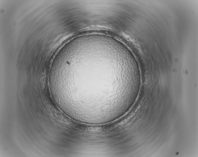 X0000087381313200705111725