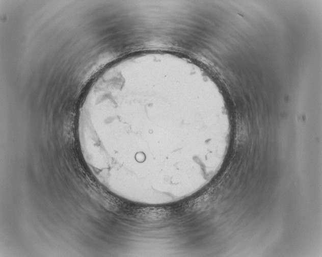 X0000087381314200705111725