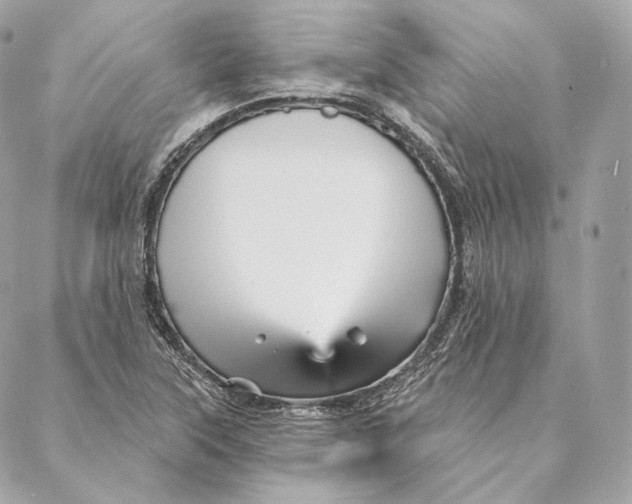 X0000087381315200705111725