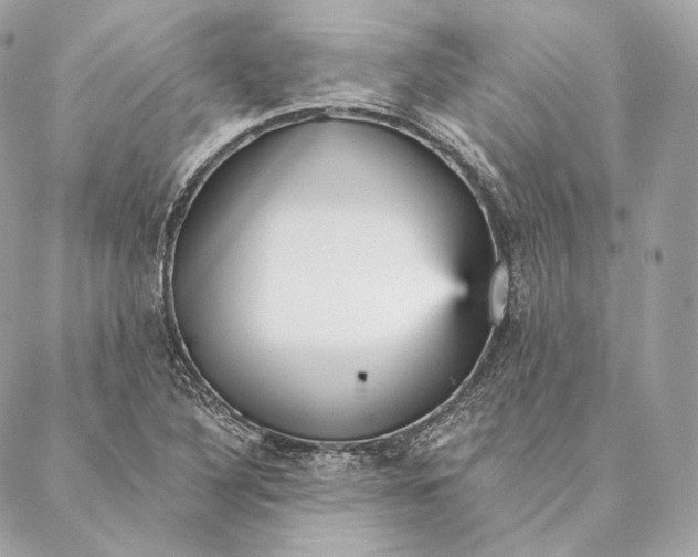 X0000087381316200705111725