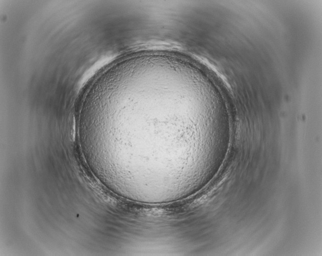 X0000087381317200705111725