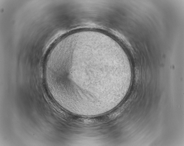 X0000087381318200705111725