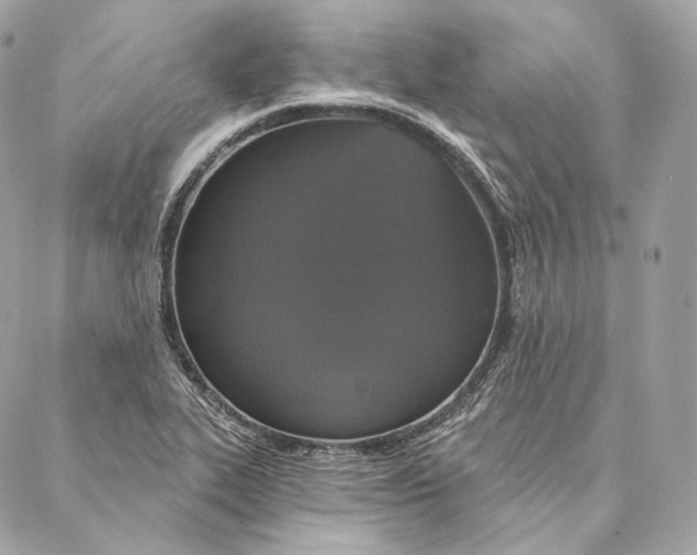 X0000087381319200705111725