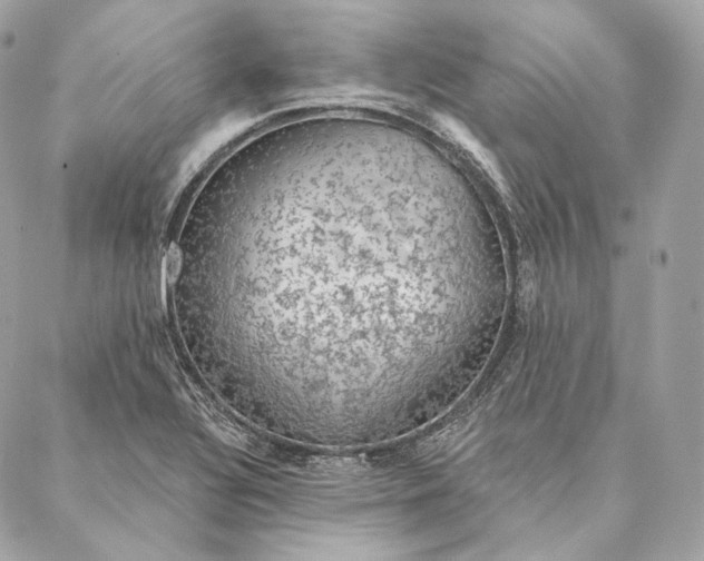 X0000087381320200705111725