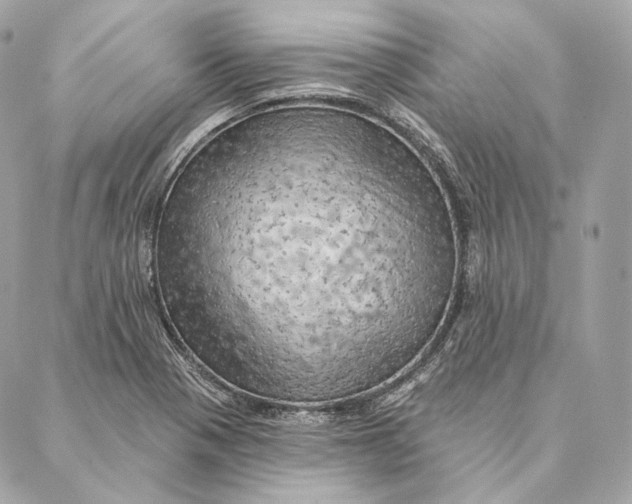 X0000087381321200705111725