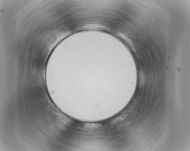 X0000087381322200705111725