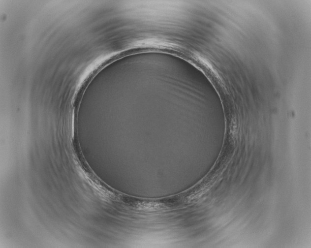 X0000087381323200705111725