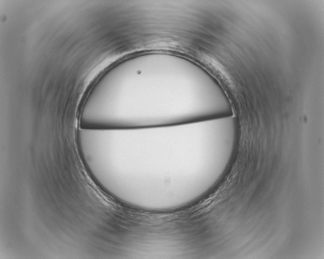 X0000087381324200705111726