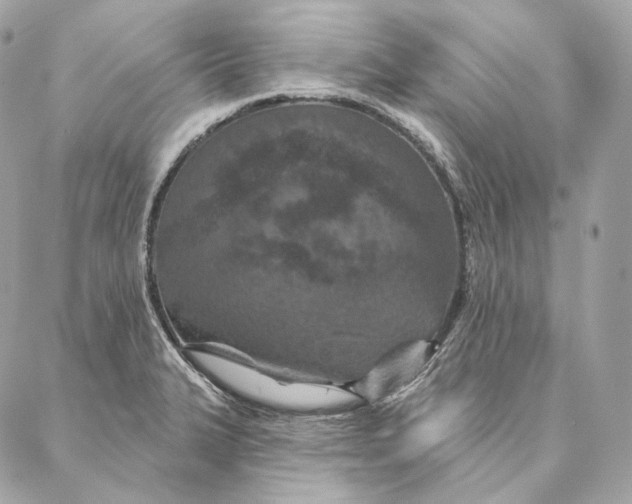 X0000087381327200705111726