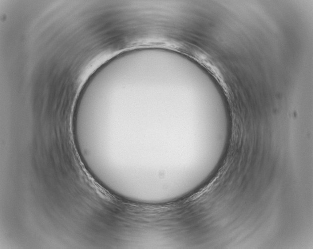 X0000087381328200705111726