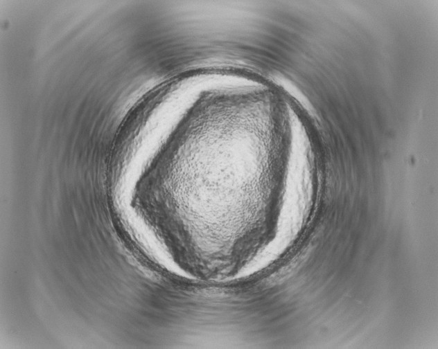 X0000087381329200705111726