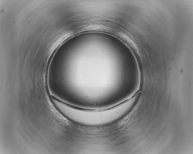 X0000087381330200705111726