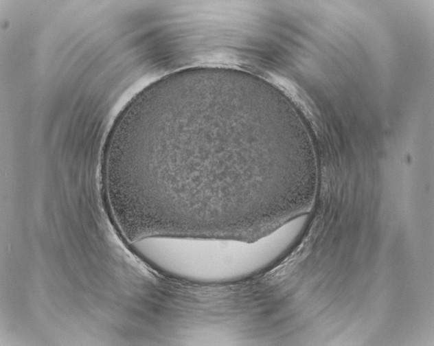 X0000087381331200705111726