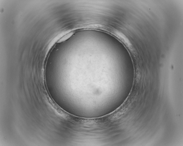 X0000087381332200705111726