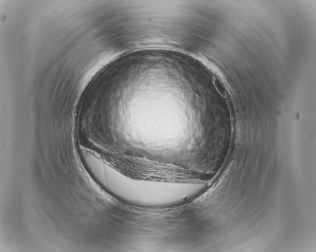 X0000087381333200705111726