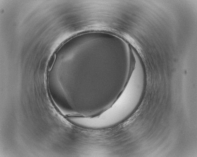 X0000087381334200705111726