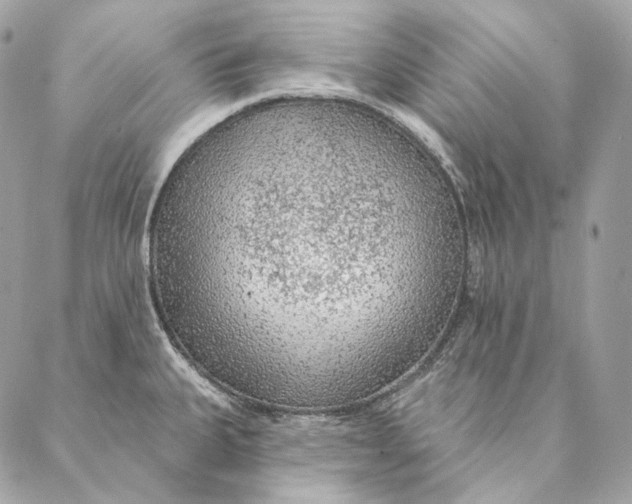 X0000087381335200705111726