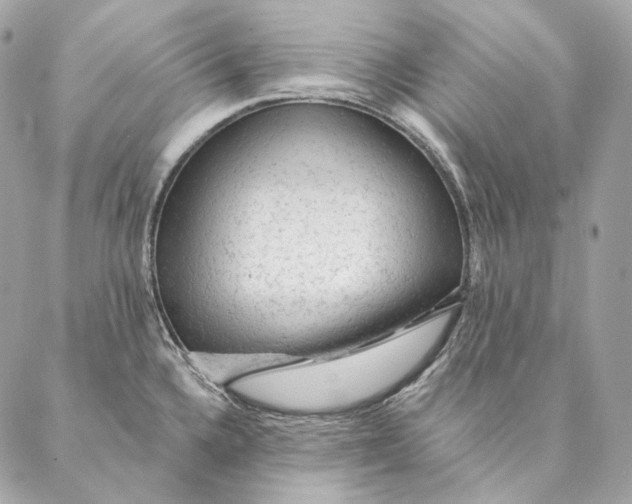 X0000087381336200705111726