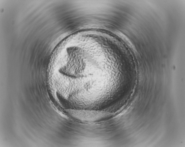 X0000087381337200705111726