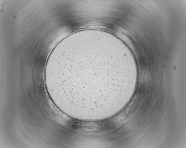 X0000087381338200705111726