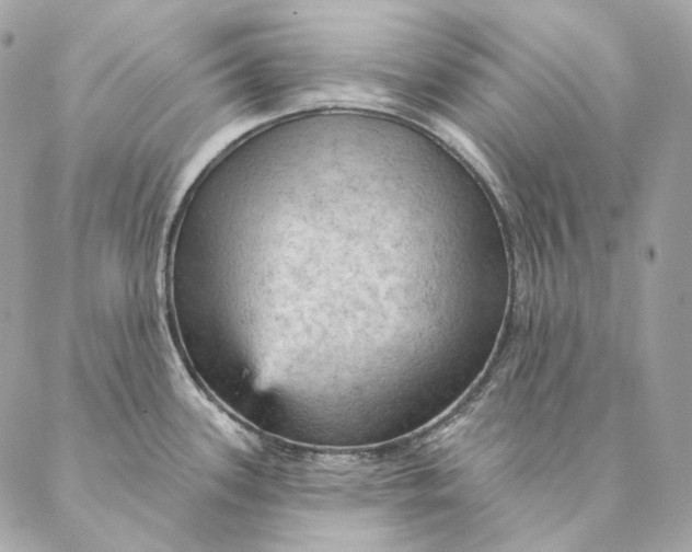 X0000087381339200705111726