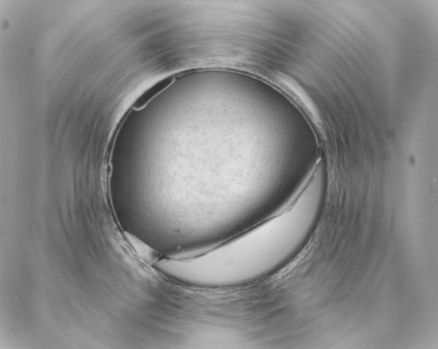 X0000087381340200705111726