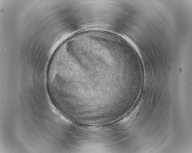 X0000087381341200705111726