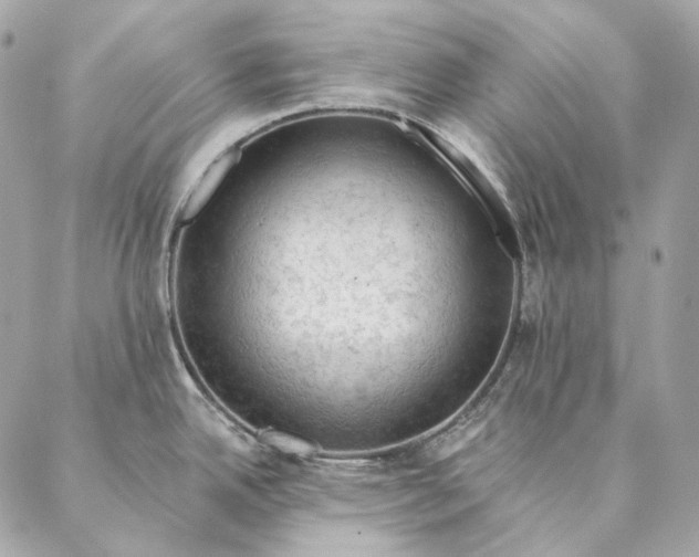 X0000087381342200705111726