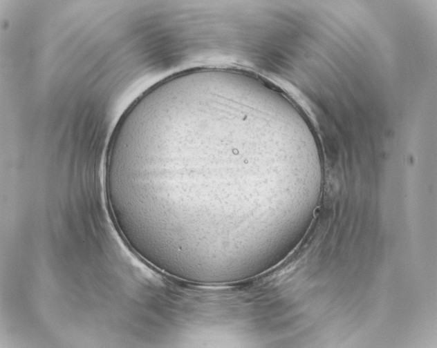 X0000087381343200705111726