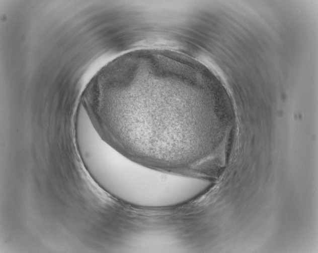 X0000087381344200705111726