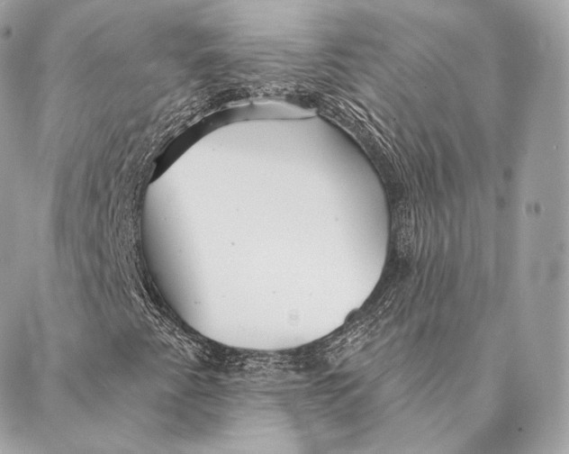 X0000087381345200705111725