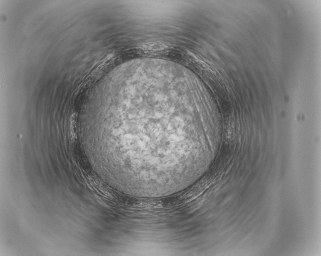 X0000087381346200705111725